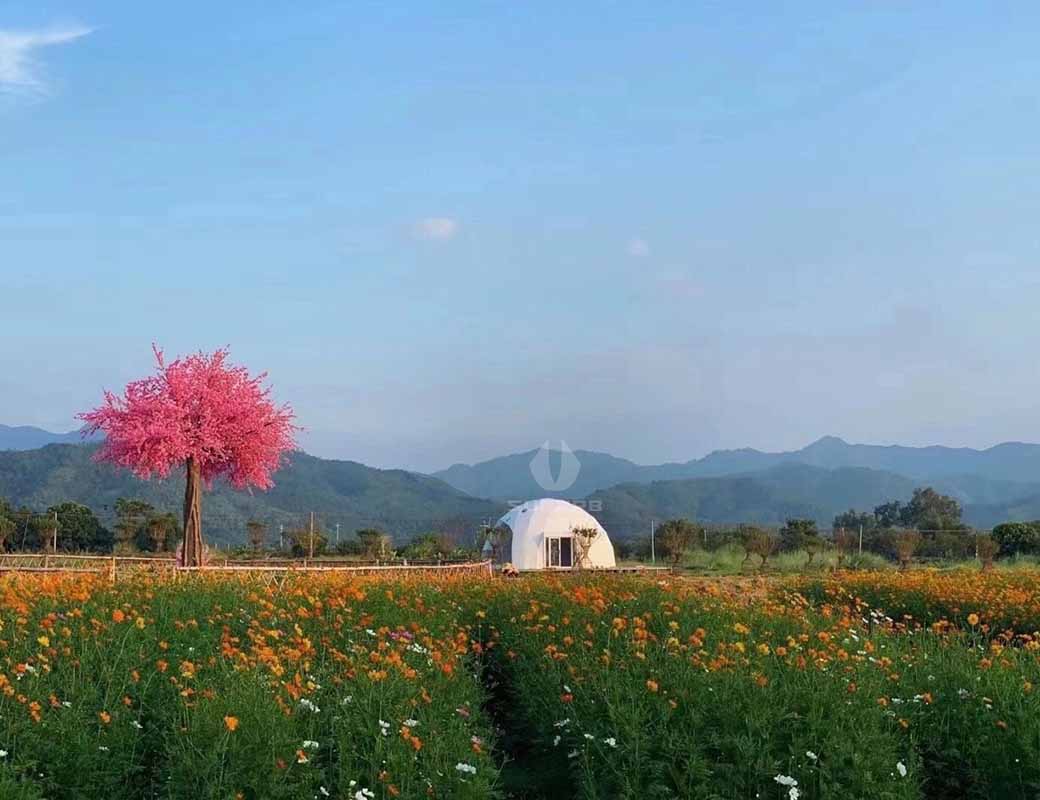 Geodesic Dome