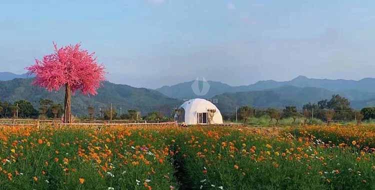 What is a Geodesic Dome Tent