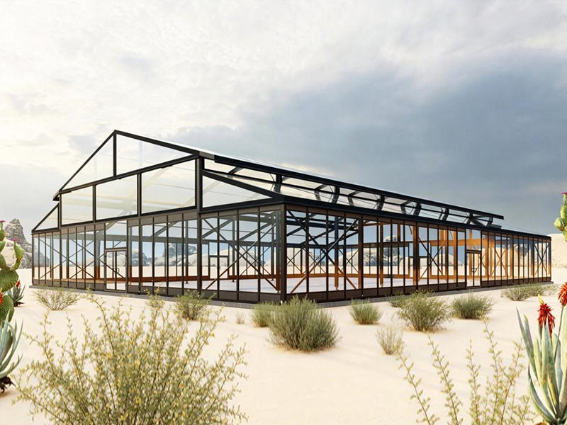 Superb Braves the Odds to Fulfill Contract “Made in China” Creates a Desert Peace Garden for the Jordanian Royal Family